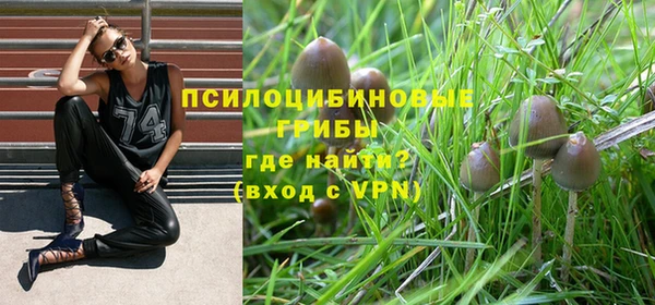 прущие грибы Богородск