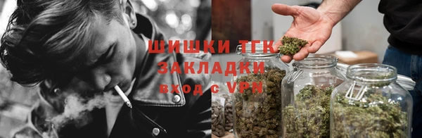 дживик Богданович