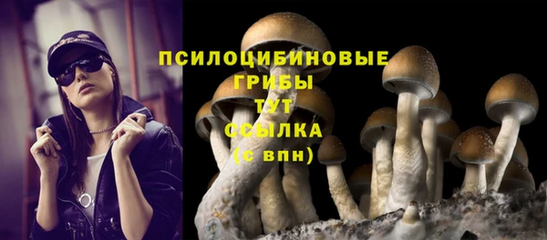 прущие грибы Богородск