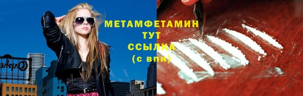 прущие грибы Богородск