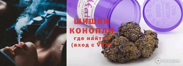 прущие грибы Богородск