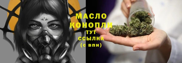 твердый Богородицк