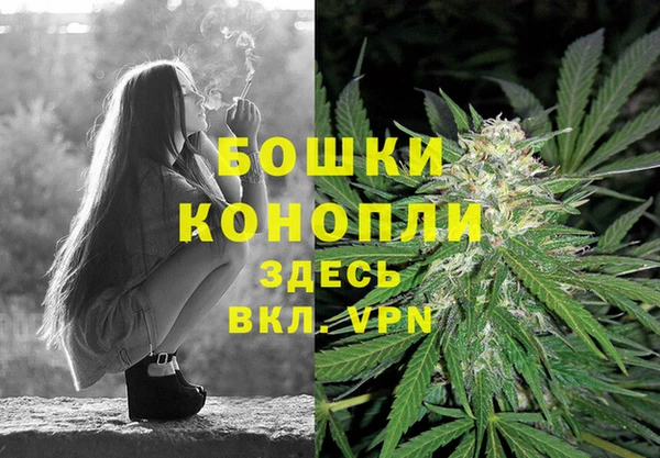 твердый Богородицк