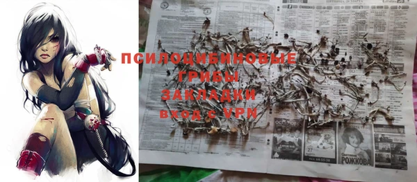 твердый Богородицк