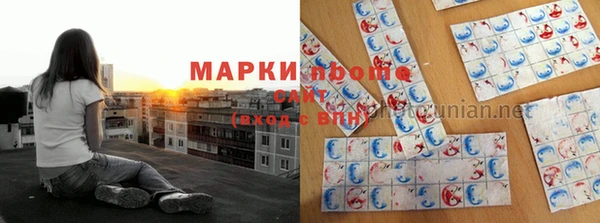 прущие грибы Богородск
