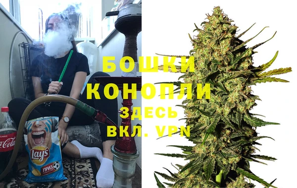 прущие грибы Богородск