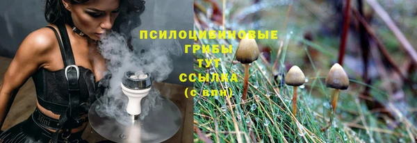 дживик Богданович