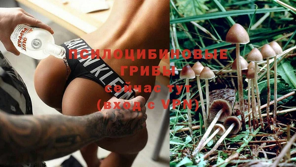дживик Богданович