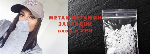 прущие грибы Богородск