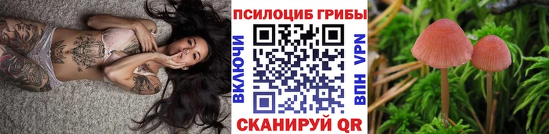 где можно купить наркотик Красноперекопск Псилоцибиновые грибы Magic Shrooms